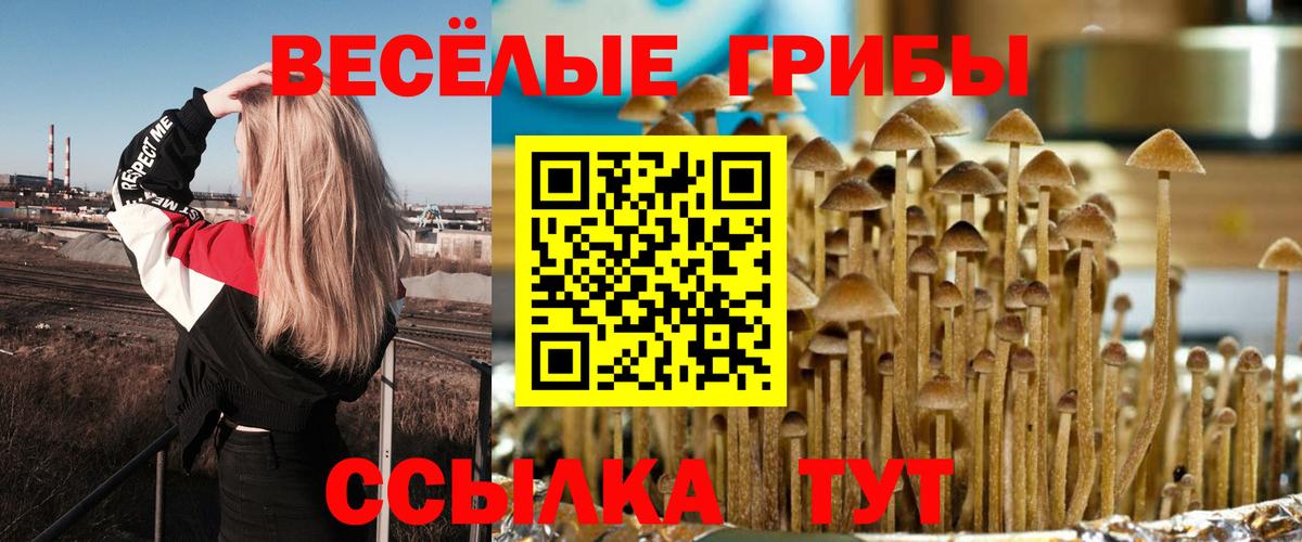Псилоцибиновые грибы мухоморы Минусинск