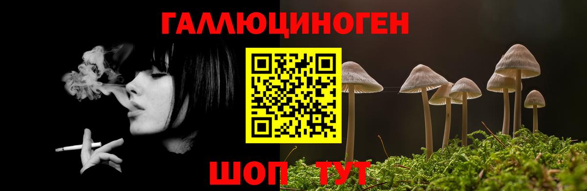 Галлюциногенные грибы Psilocybine cubensis  Вход с VPN  Псилоцибиновые грибы Psilocybine cubensis  Минусинск 